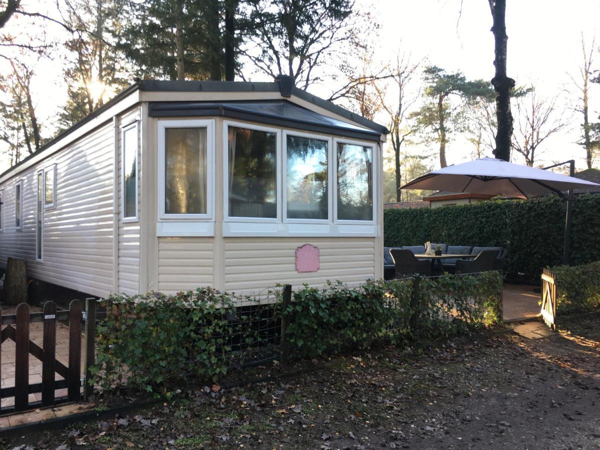 Prachtige Luxe Chalet Op De Veluwe Nabij ホンデルロー エクステリア 写真